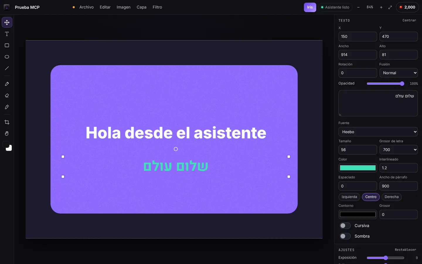 Foto Meier en el navegador con el banner que hizo el asistente