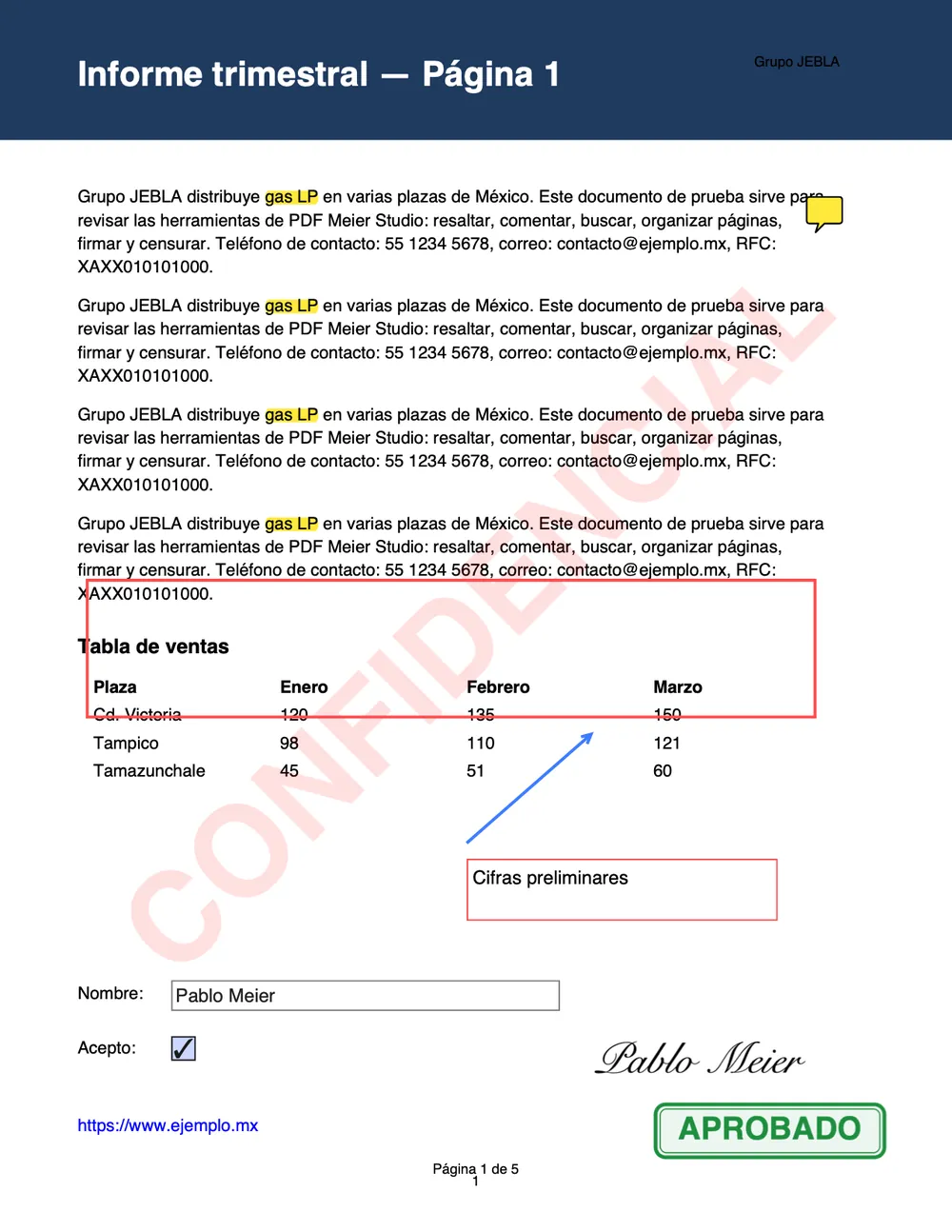 Página de un informe con resaltados, firma y sello de aprobado